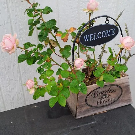 Bed and Breakfast B&B Strandhuset