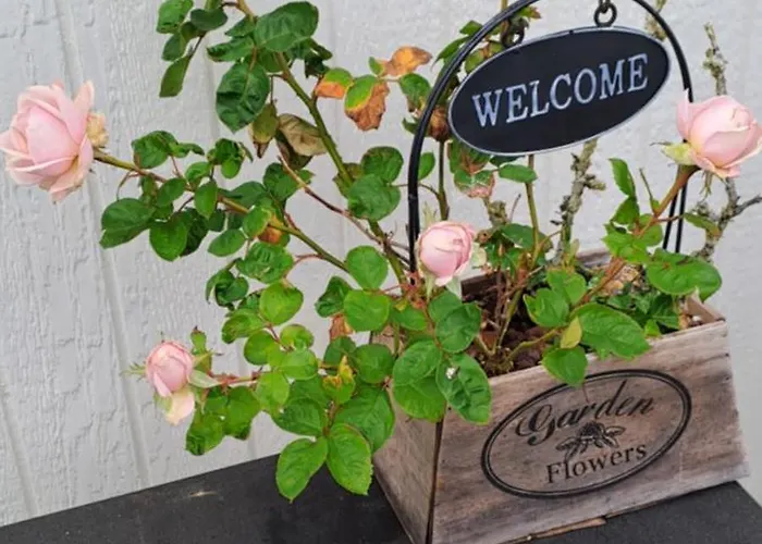 فندق مبيت وإفطار B&B Strandhuset